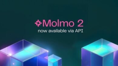 molldoto2 version